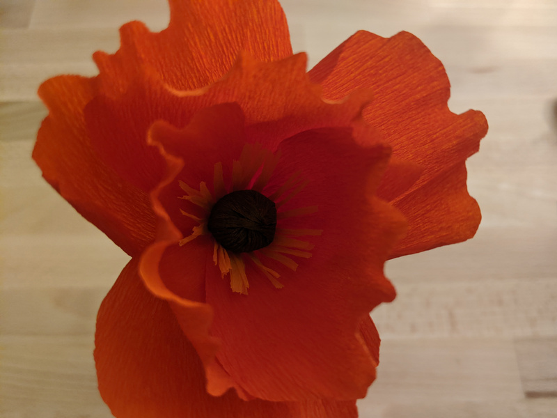 Crepe Paper Flower Kit Poppies - 084001400052